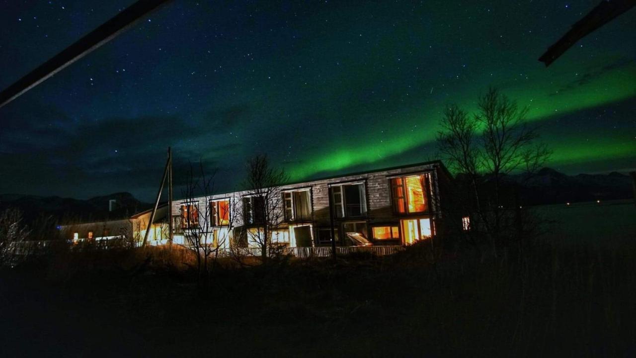 Bed and Breakfast Risvaer Brygger à Digermulen Extérieur photo